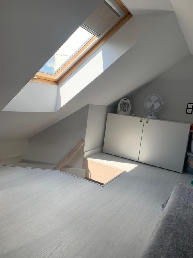 Loft W Centrum Olsztyna, Blisko Starowki Ольштин Екстер'єр фото
